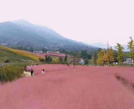 工程案例